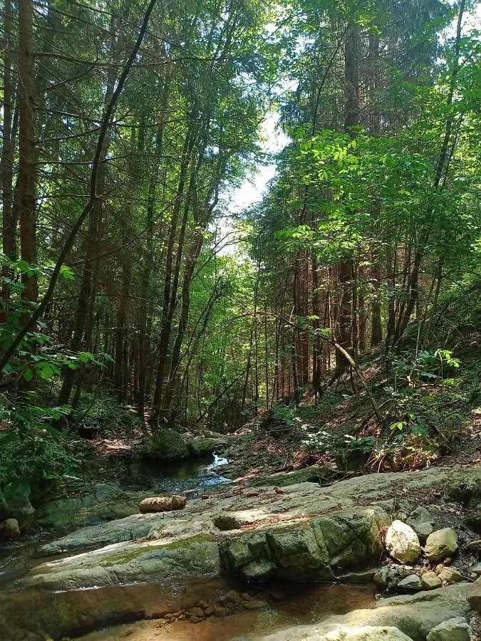 Il Giardino Di Cres Acomodação com café da manhã Esino Lario