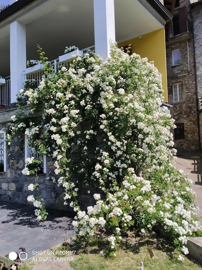 Il Giardino Di Cres Acomodação com café da manhã Esino Lario Alojamento de Acomodação e Pequeno-almoço