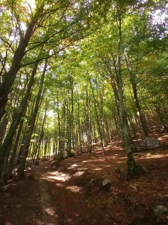 Il Giardino Di Cres Acomodação com café da manhã Esino Lario