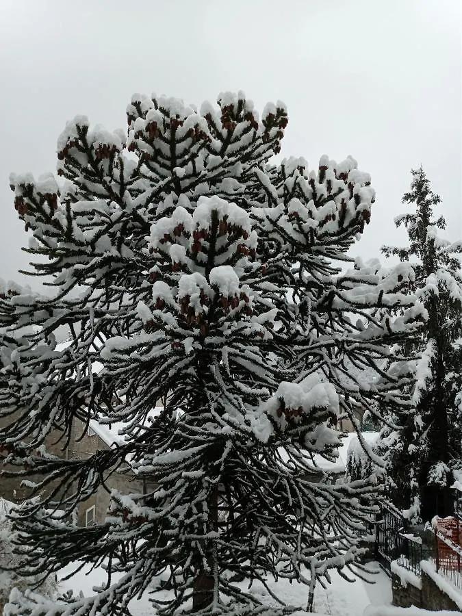 Il Giardino Di Cres Bed & Breakfast Esino Lario