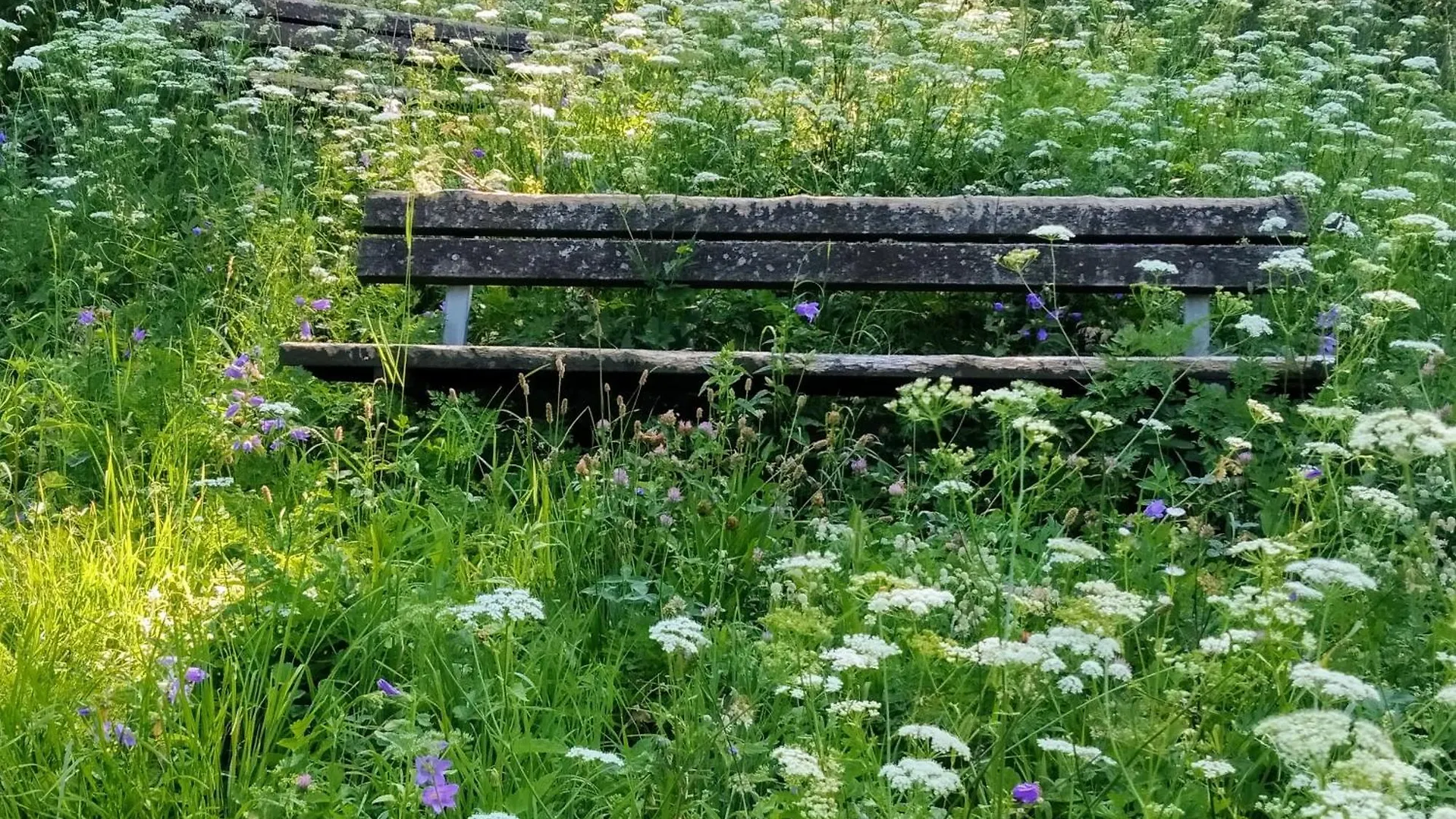 Il Giardino Di Cres Bed & Breakfast Esino Lario 0*,